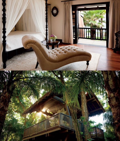 El Hotel Dorado Beach permite un acercamiento con la naturaleza