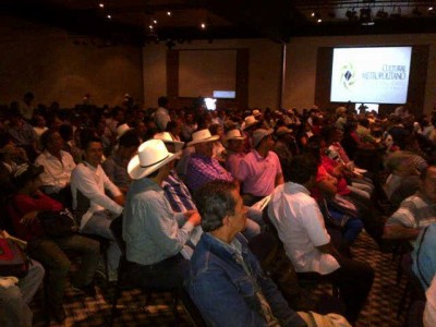 Fotos: Notivisión Popayán - 'El Gobierno nos incumplió, volvemos a paro' dicen cafeteros