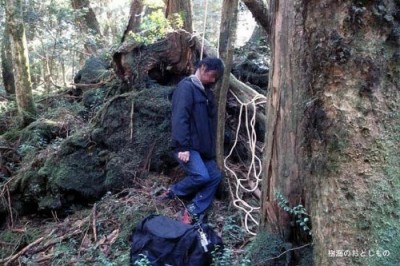 bosque-de-aokigahara- col ivan