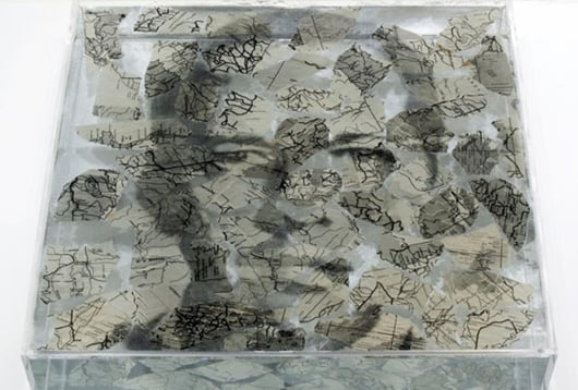 narcisos oscar muñoz