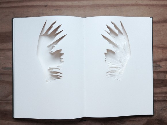 Sebastián Camacho, Migrantes 6