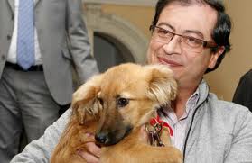 Bacatá, la perra de Petro es la única que no se va de la Alcaldía - -- Las2orillas bacata