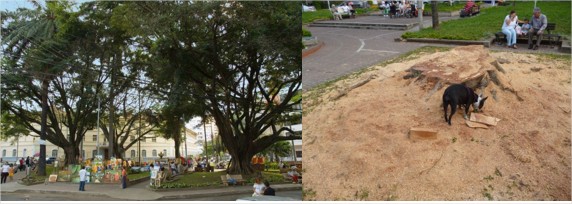 Parque El Peñón de Cali antes y después de talar todos sus árboles.