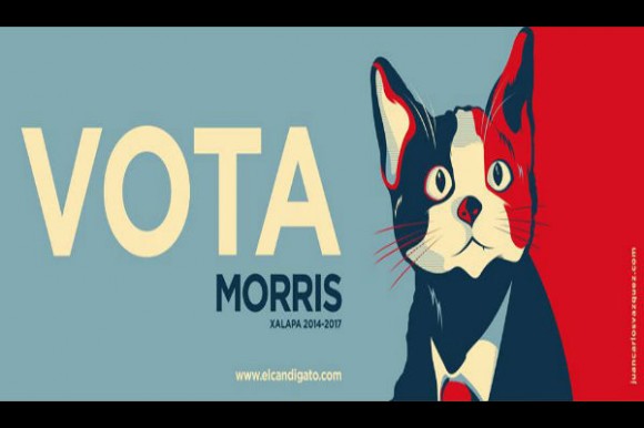 ¿Votaría por los caballos de Uribe al congreso? - -- Las2orillas vota-por-candigato-morris-01