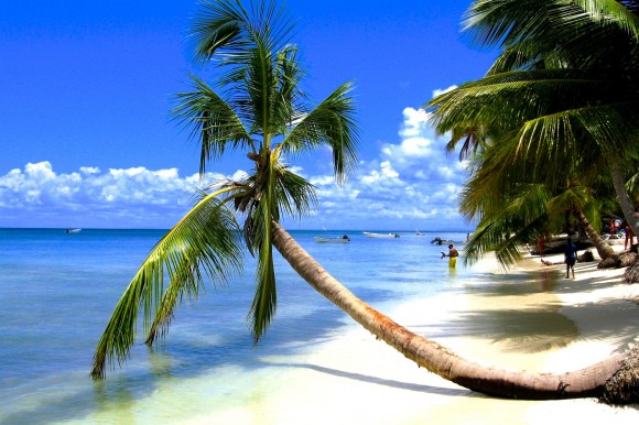 Bachata, mamajuana y mar para mamá - -- Las2orillas Isla Saona