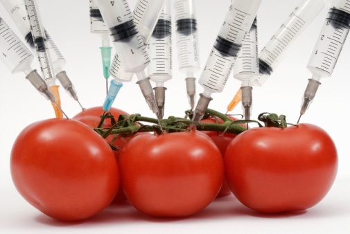 La revuelta de los paperos: una rebelión que nace del hambre - -- Las2orillas Syringe needles pushed into tomatoes