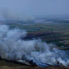 10353133_571872209596085_5767374460595951063_n