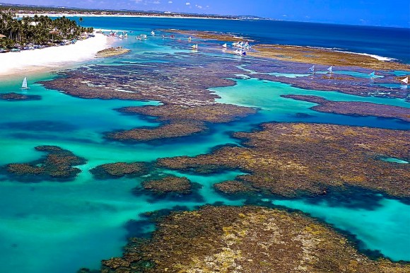 Brasil: corales y caballitos de mar - -- Las2orillas PORTO GALINHAS 3