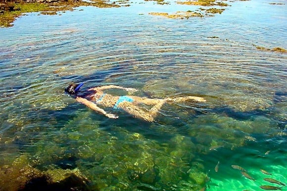 Brasil: corales y caballitos de mar - -- Las2orillas PORTO GALINHAS NADAR CON PECES 2