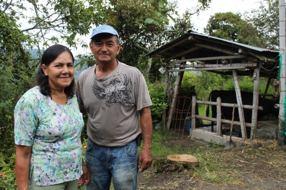 Algunas familias como la de Susana y Gerardo, combinan la producción de leche con el cultivo de café para sostener su economía