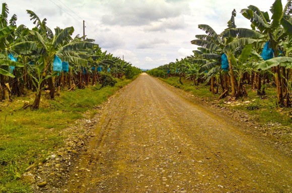 VIAS ENTRE FINCAS BANANERAS