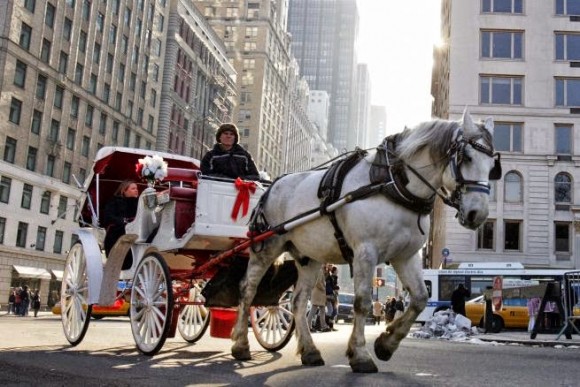 Carruajes de Nueva York