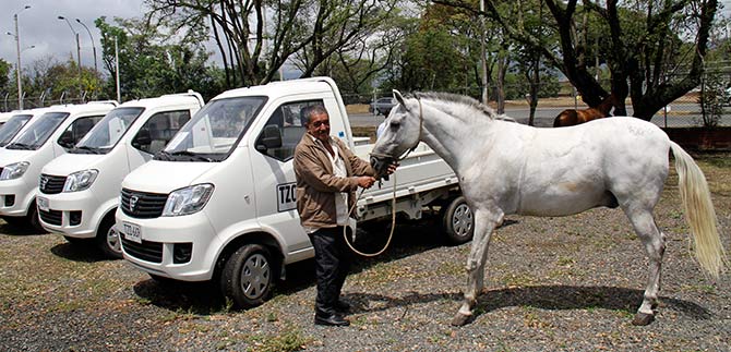 Imagen de una de las sustituciones realizadas en Cali. El carretillero entregó en adopción su caballo y recibió un vehículo automotor para continuar con su oficio