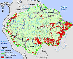 La Amazonía está siendo deforestada intensamente en algunas regiones, en Colombia sobre todo en Caquetá y Putumayo. Imagen de http://www.wwf.es/que_hacemos/bosques/problemas/sos_amazonia/