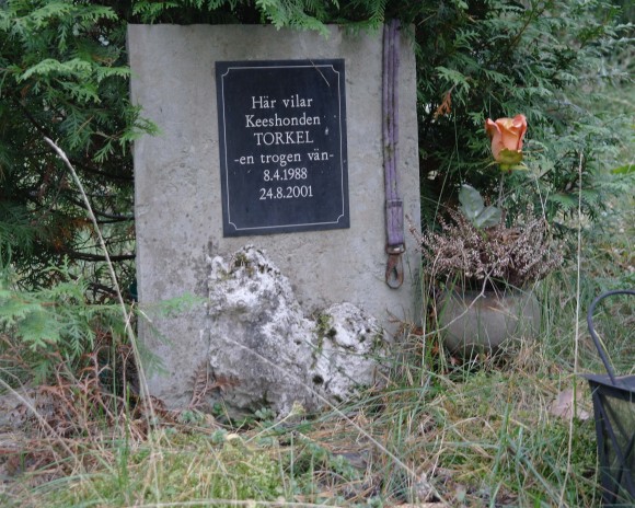 La tumba del perro Torkel, muerto el 24 de agosto de 2001. Foto: Víctor Rojas