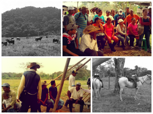 El fracaso de la restitución de tierras en Urabá - -- Las2orillas int 5