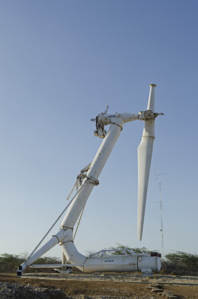 Monopalas abandonados