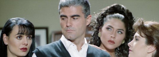 Su primera aparición en tv fue en la telenovela Prisionera de Amor en 1993. Por tratar de dominar el apuntador, neutralizar el acento y el no estar preparada actoralmente, no se enorgullece de aquél trabajo.
