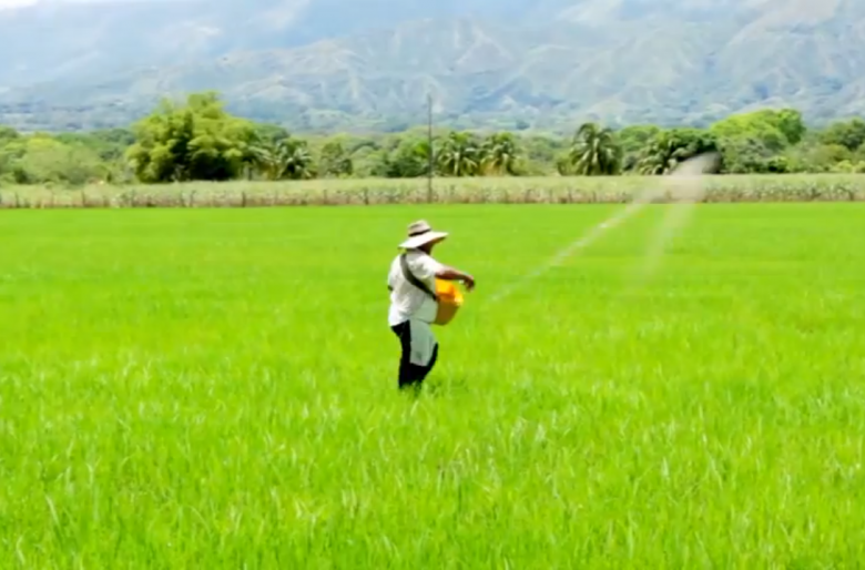 ¿Qué se acordó en la Habana para la pobreza en el campo?