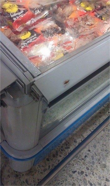 Cucarachas en almacenes Éxito - -- Las2orillas exito02