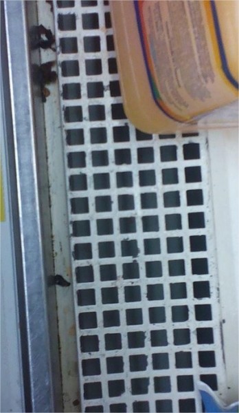 Cucarachas en almacenes Éxito - -- Las2orillas exito03