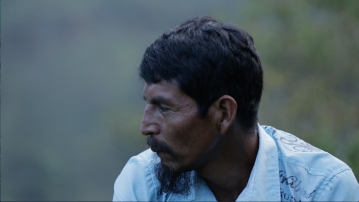 La paz con las Farc ya está firmada - -- Las2orillas José Paya, último capitán de la autodefensa indígena Nasa Wes'x. Foto: Vice Colombia - Pacifista