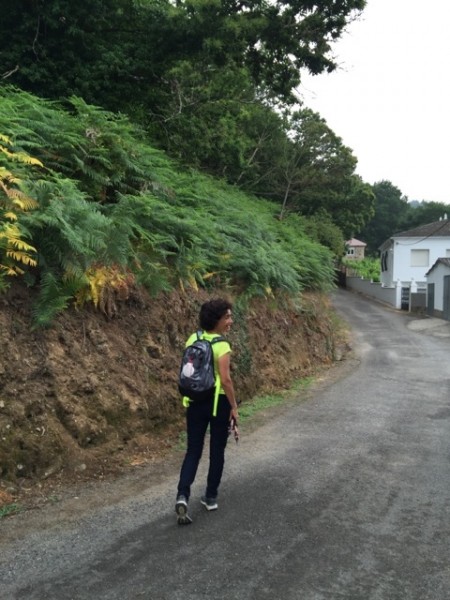 En el primer kilómetro hacia Palas del Rei.