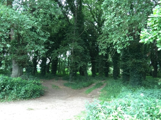 Camino hacia Palas del Rei