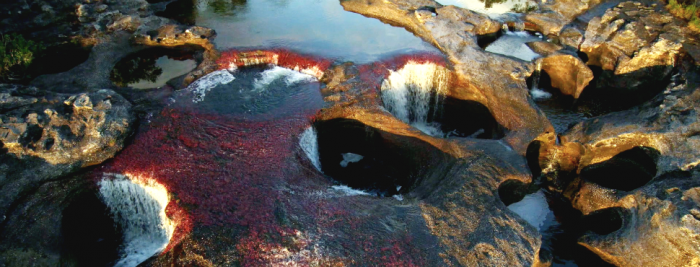 Caño cristales