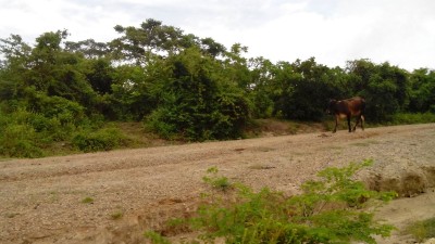 En memoria a las víctimas de Sucre - -- Las2orillas Foto: Legión del Afecto