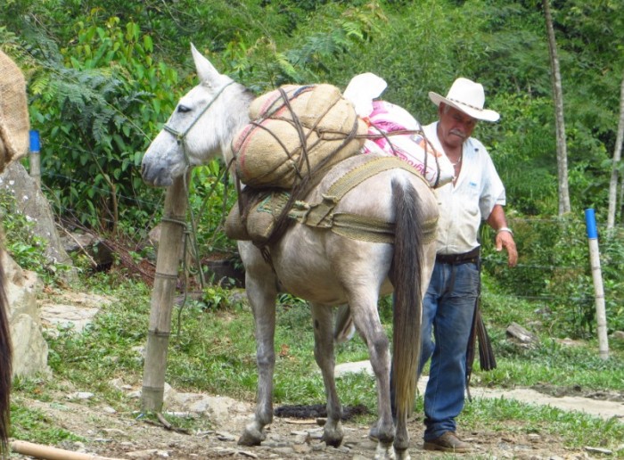 Agustín preparando el equipaje de los legionarios para la expedición. Foto:  Ana María Sánchez
