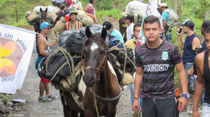 Las mulas y caballos fueron los invitados especiales de la expedición