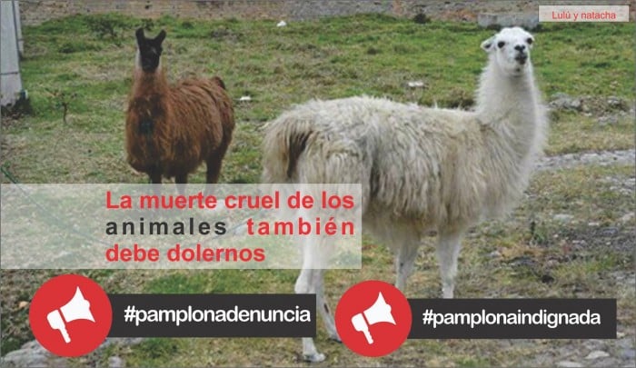 12823369_131642820561566_8086186344672757108_o