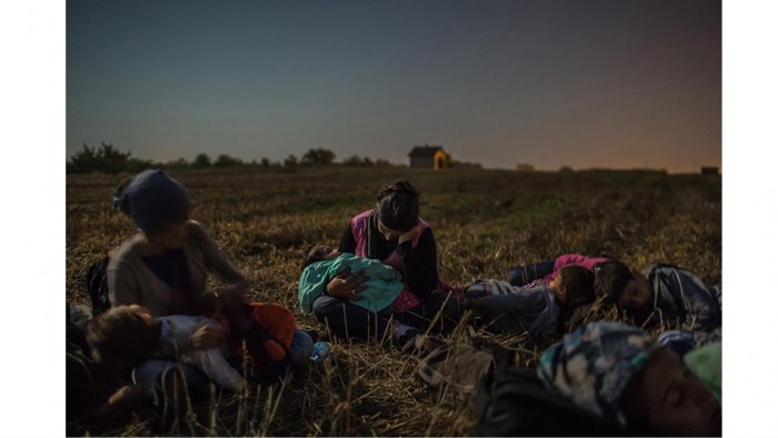 Los miembros de la familia Majid duermen con sus hijos en sus brazos en un campo de trigo,esperando para cruzar la valla de alambre de púas en Horgoš, Serbia y Hungría. Foto: Mauricio Lima/ The New York Time