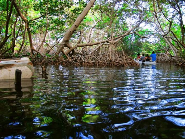 FB_IMG_1461774043480