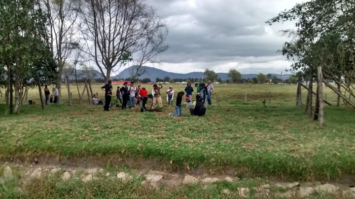 2d880eb6-1c11-48c5-be89-a375c52d8533