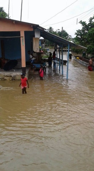 Bojayá en peligro por fuertes lluvias - -- Las2orillas La Loma inundación
