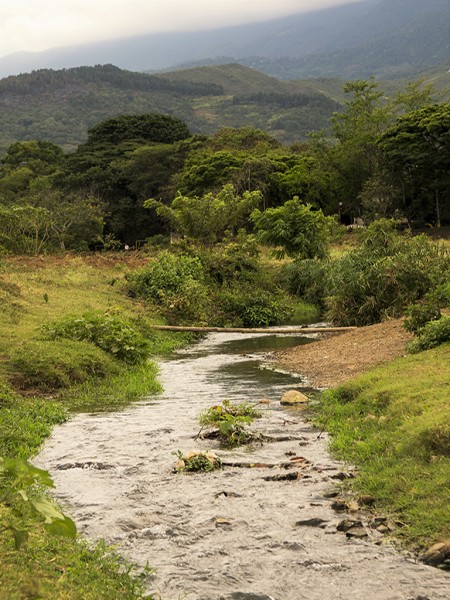 El río Cañaveralejo en Cali: el Colector o la muerte - -- Las2orillas CatalinaBT3