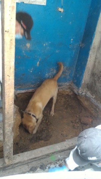 Los agentes del CTI acudieron con un mapa y marcaron con puntos verdes el lugar que les referenciaron las fuentes entrevistadas. Tras demoler la loza de concreto llevaron un perro entrenado que precisó el lugar a explorar