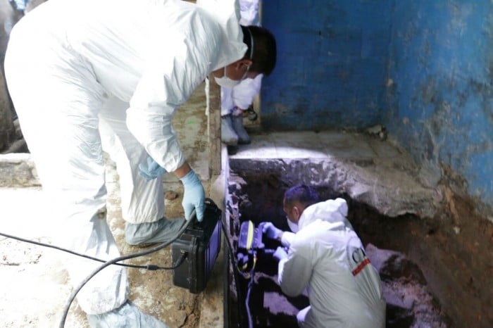  También usaron luces forenses para hallar fluidos y restos biológicos entre las capas de tierra. Tras escavar varios metros se encontraron con restos animales que se usaron para distraer el entierro humano que yacía poco más abajo.