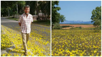  - El color amarillo de marzo