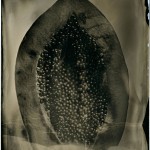  - Entre lo cóncavo y lo convexo