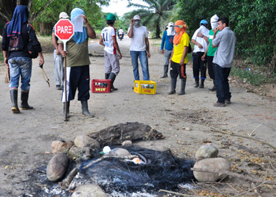 Así asesinan a los campesinos en el Catatumbo