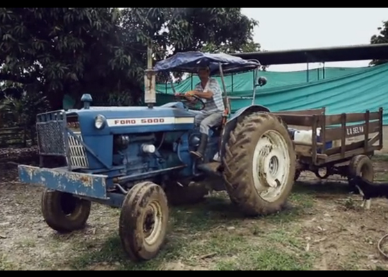 Aprenda a manejar sin hacer el curso