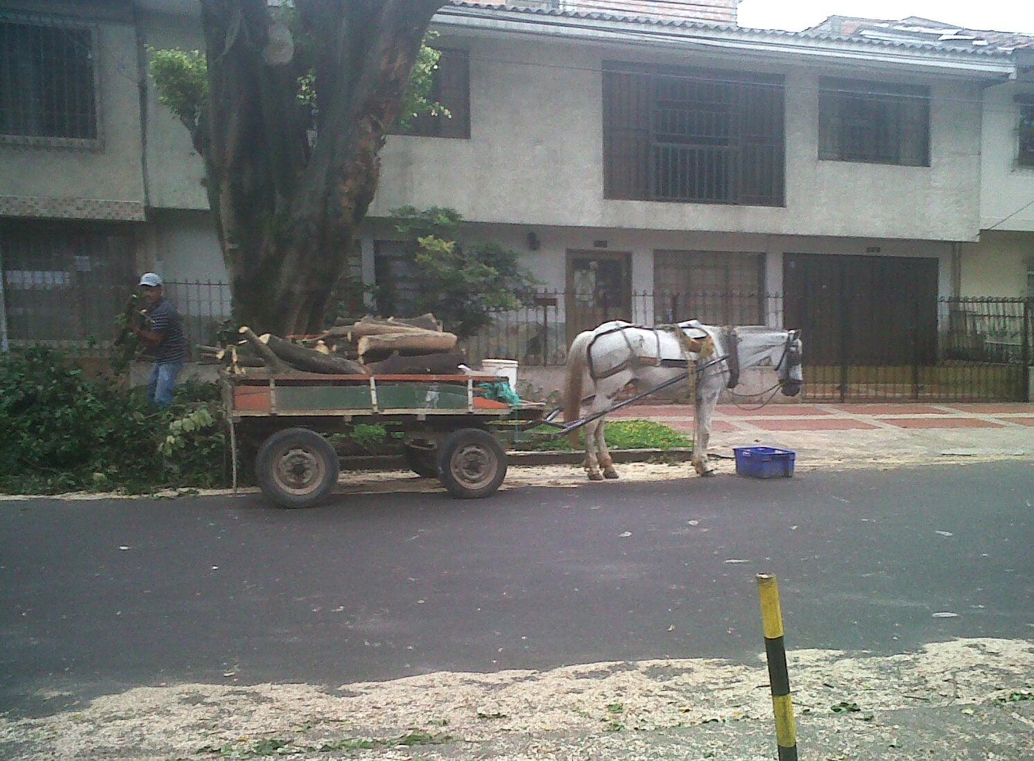 Tracción animal o animales que usan para hacer daño