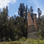  - El carbón como inspiración artística