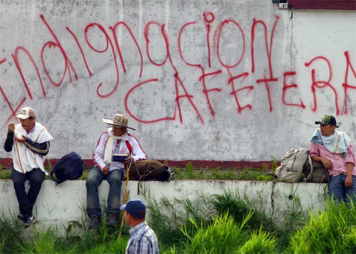¿Qué le pasó a la caficultura colombiana que Juan Valdez dejó de ser el orgullo nacional?