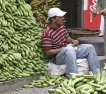Colombia desperdicia 2.4 millones de toneladas de alimentos