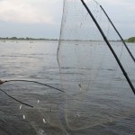 La Virgen Llegó a El Banco - -- Las2orillas.co: Historias, voces y noticias de Colombia - La Virgen Llegó a El Banco