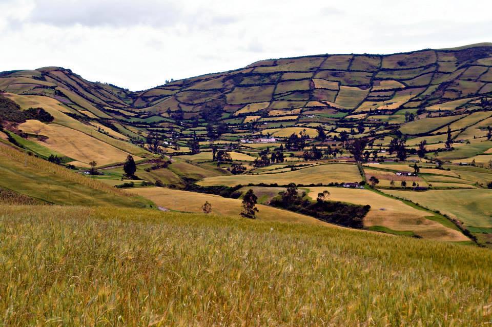 Escribiendo en la pared